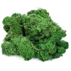 Gaugemaster Dark Green Lichen (80g)