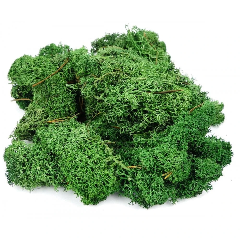 Gaugemaster Dark Green Lichen (80g)