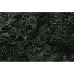 Woodland Scenics Dark Green Lichen
