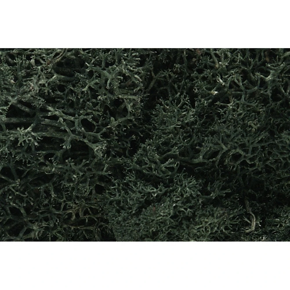 Woodland Scenics Dark Green Lichen