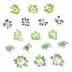 Gaugemaster Garden Plants (17)