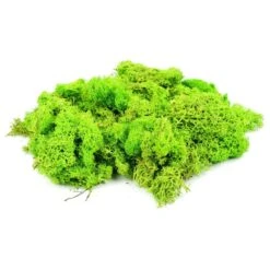 Gaugemaster Light Green Lichen (80g)