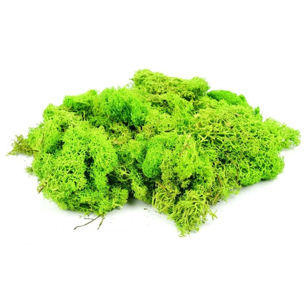 Gaugemaster Light Green Lichen (80g)